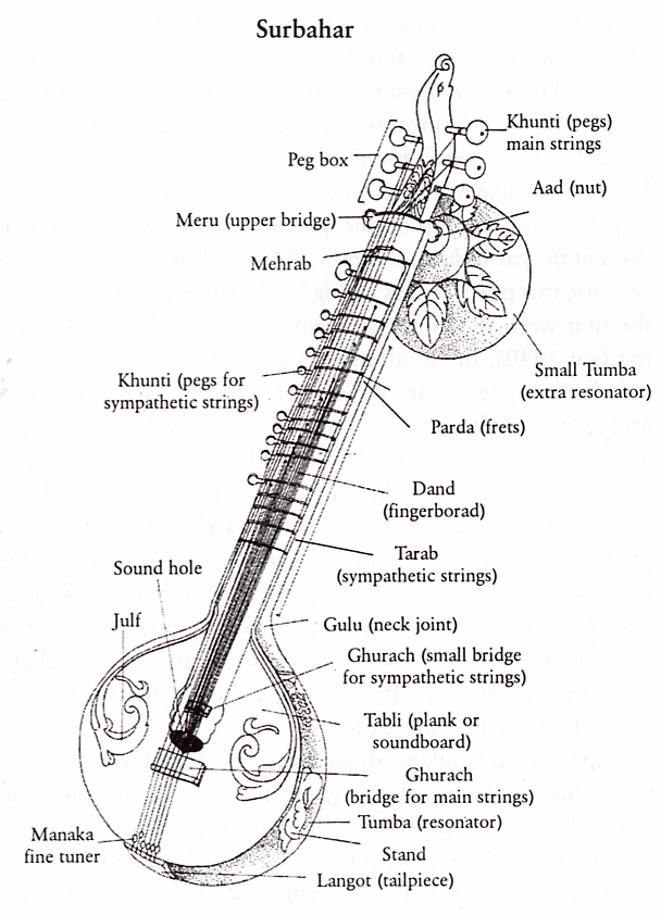 files/glossar/surbahar.gif files/glossar/surbahar.gif